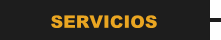 SERVICIOS